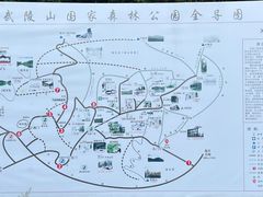 -武陵山森林公园