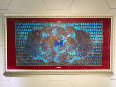 -上海昆虫博物馆