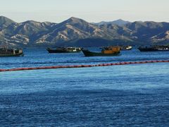 -深圳湾公园(南山区)