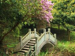 -宁波五龙潭景区