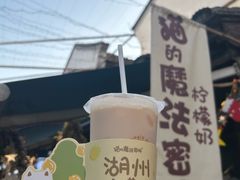 -猫的魔法密林(衣裳街店)