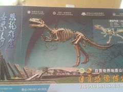 -自贡恐龙博物馆