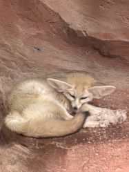 -Zoolung Zoolung动物主题公园(海信广场店)