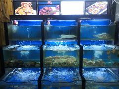 -老东镇啤酒屋海鲜加工·蒸汽海鲜·海鲜烧烤(台东店)