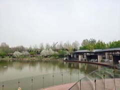 -春晖园度假酒店温泉