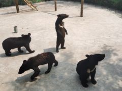 -西安秦岭野生动物园