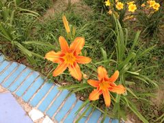 景观位-劳模山庄