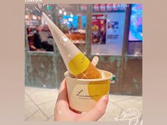 -LUNEURS月乐诗·法式冰淇淋(环贸店)
