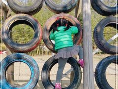 -前小桔亲子创意农场·草莓采摘·露营烧烤