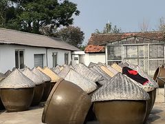 -苏州市吴中区光福窑上花果蜜饯厂