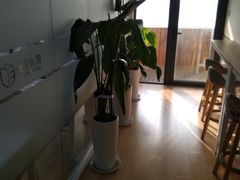 -语朵教育·日韩德法留学(曹杨校区)
