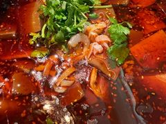 -荟廷·晶萃(陆家嘴尚悦湾店)