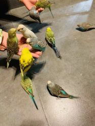 -酷嗒动物文化乐园(cutezoo西溪乐天城店)