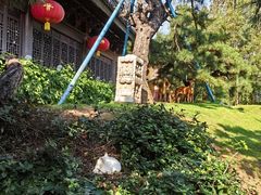 -龙华素斋(龙华路店)