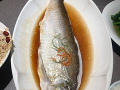 -晓淮山·扬州早茶·淮扬菜(龙阳广场店)