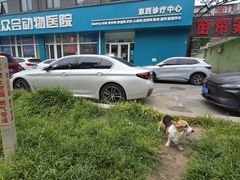 -美联众合动物医院·24h京西诊疗中心