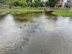 -靖西鹅泉风景区