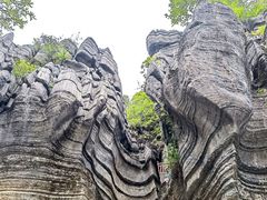 -梭布垭石林景区