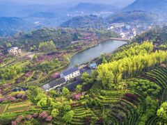 -四明山国家森林公园