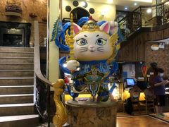 -more than meow吴止猫主题餐厅(承德 中船汇店)