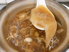 招牌海参大只翅-添發碗仔翅美食