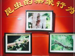 -上海昆虫博物馆