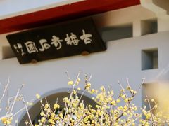 -无锡梅园公园