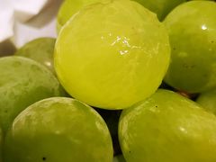 -马陆小张葡萄园农家乐