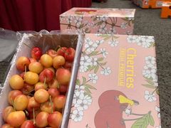 -双福水果批发市场