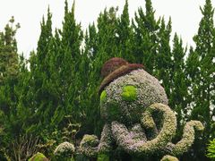 -东平国家森林公园