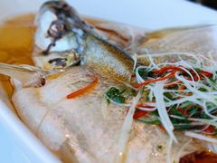 清蒸太湖白鱼-翡翠江南(国贸商城店)