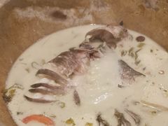 -云中鱼蒸汽石锅鱼(川沙百联店)