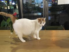 -然一素食餐厅(马利来广场店)