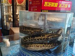 -老灶堂文创火锅(文艺路店)