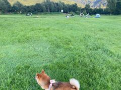 -玉渡山自然风景区