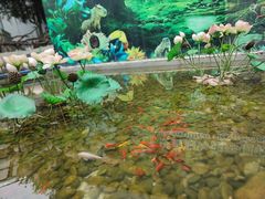 -正佳雨林生态植物园