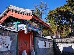 -阳台山自然风景区