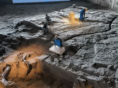 -自贡恐龙博物馆