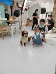 点击看大图 -同远QQBABY亲子摄影(北京路店)