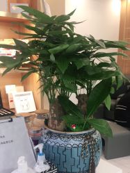 -悦颜美佳·美容·美甲美睫