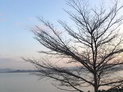 -深圳湾公园(南山区)
