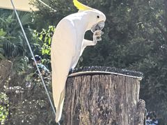 -可伦宾野生动物保护区