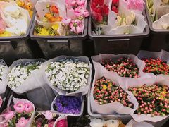 -溪岸路花鸟市场