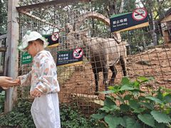 -昆明动物园