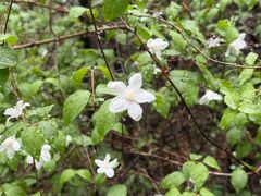 -龙门涧景区