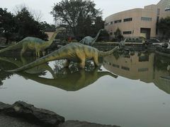 -自贡恐龙博物馆