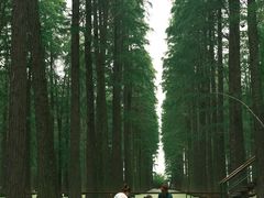 -渌洋湖湿地公园