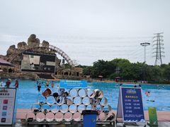 -美的鹭湖探索王国