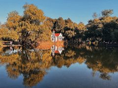 -上海共青森林公园