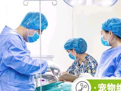 -瑞鹏宠物医院·宠保定点·心脏科·内科(御桥分院)